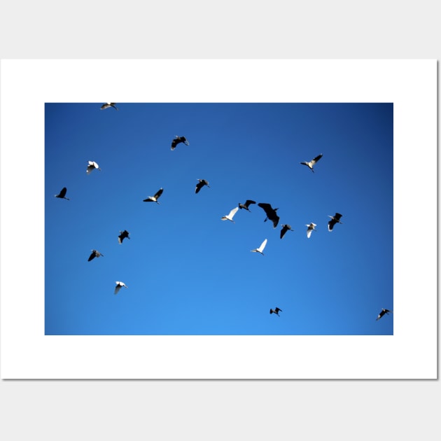 Free As The Birds Wall Art by Cynthia48